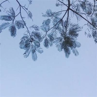 苍穹仙缘最新版(暂未上线)v1.0.2 官方安卓版